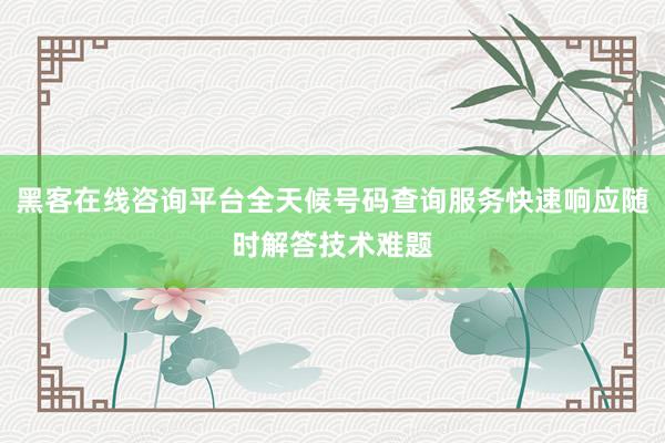 黑客在线咨询平台全天候号码查询服务快速响应随时解答技术难题